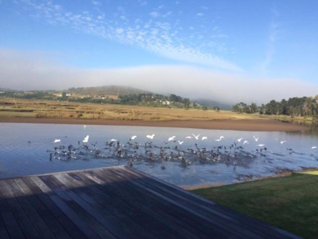 Moonriver Self Catering Plettenberg Bay Extérieur photo
